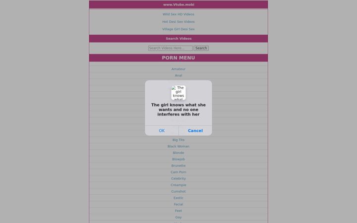 Screenshot of vtube.mobi