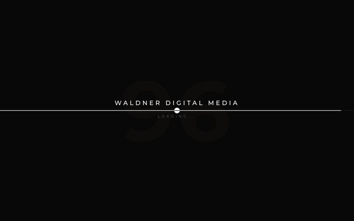 Screenshot of waldner-digital.de