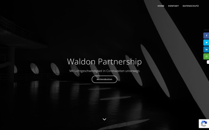 Skärmbild av waldon.biz