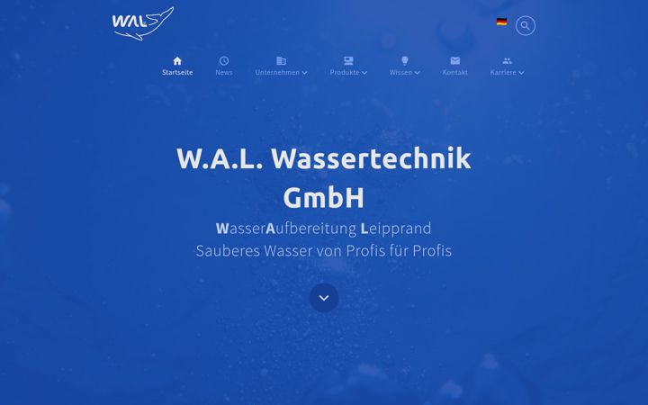 walgmbh.de