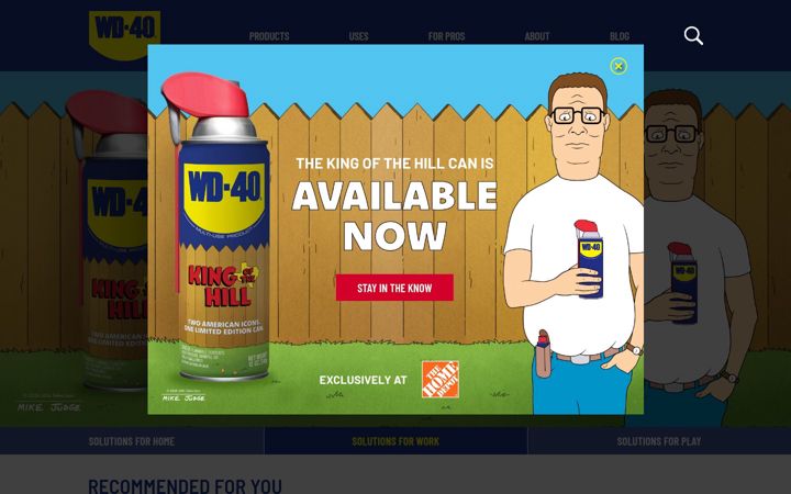 Screenshot of wd40.com