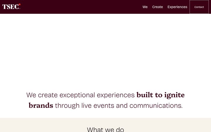 Screenshot ta' wearetsec.com