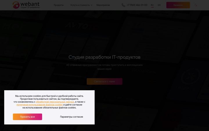 Screenshot of webant.ru