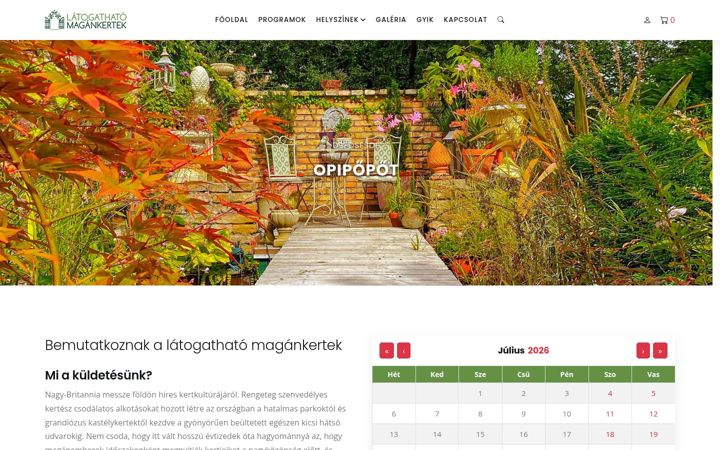 Screenshot of webcheck.hu