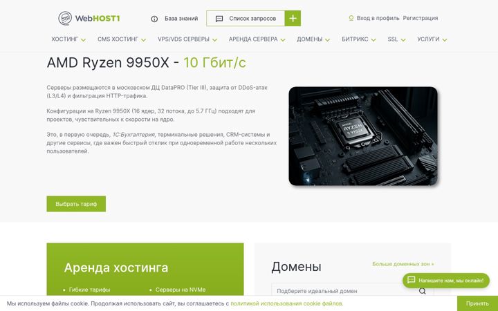 Kuvakaappaus sivustosta webhost1.ru