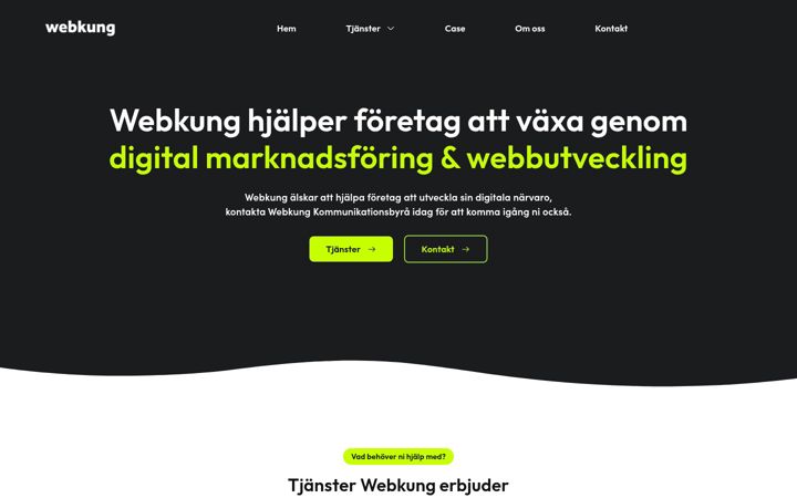 Skjámynd af webkung.se