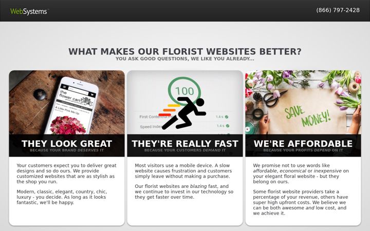 Screenshot of websystems.com