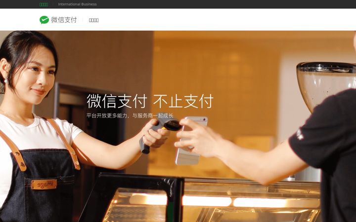 Screenshot di wechatpay.cn