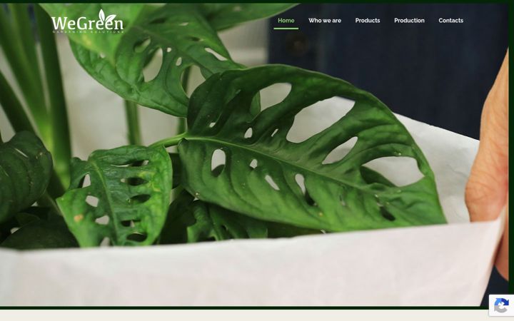 wegreen.info