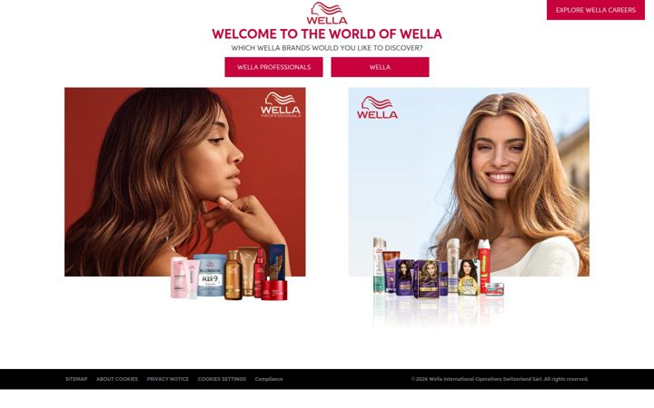 Screenshot of wella.com