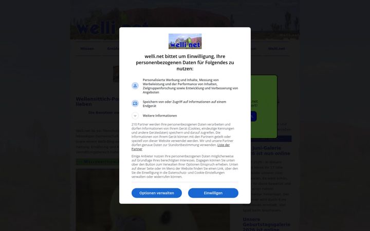 Skärmbild av welli.net
