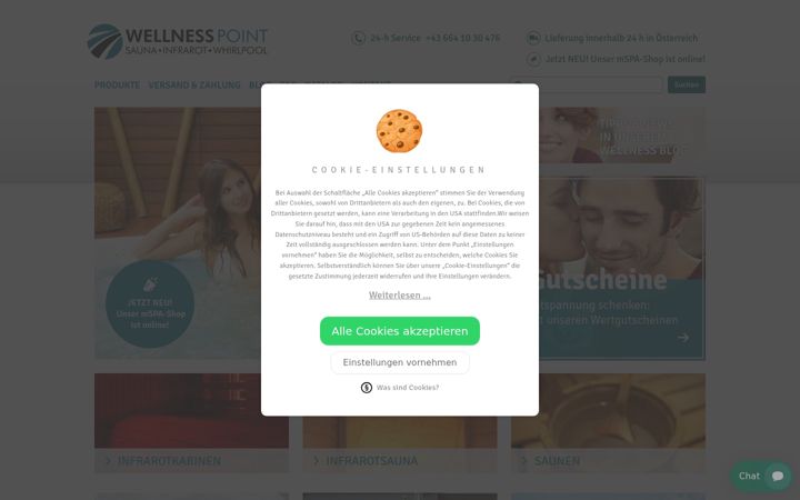 Screenshot of wellness-point.com
