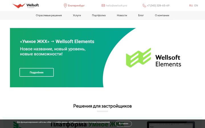 Screenshot of wellsoft.pro
