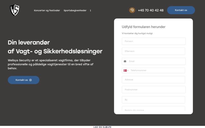 Képernyőkép: wellsys.dk