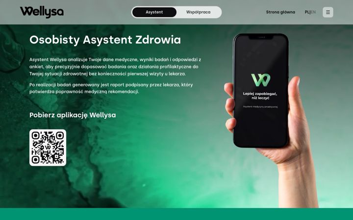 Screenshot of wellysa.com