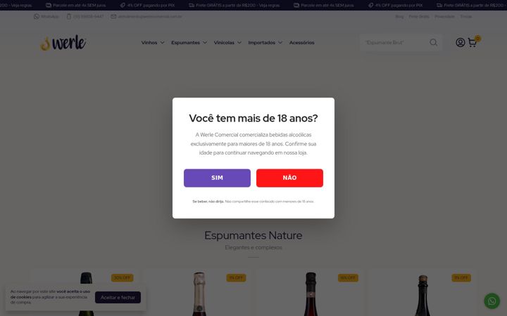 Screenshot of werlecomercial.com.br