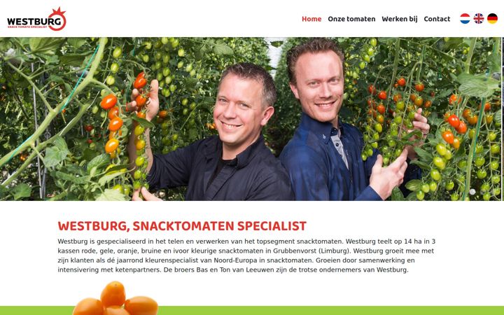 westburgbv.nl
