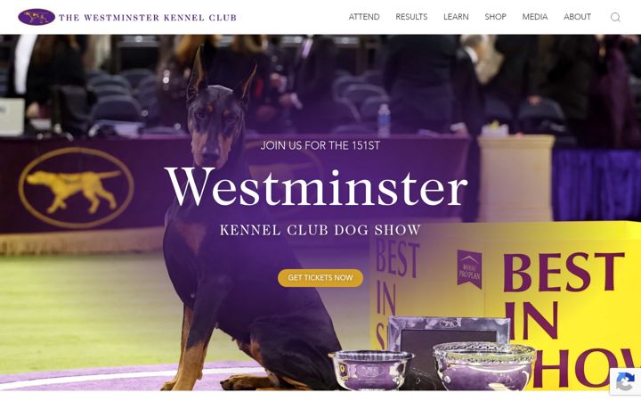 Captură de ecran a westminsterkennelclub.org