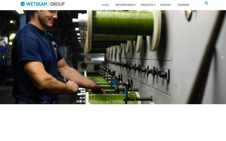 Zrzut ekranu wetekamgroup.com