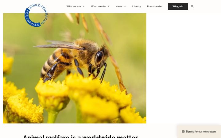 Screenshot di wfa.org