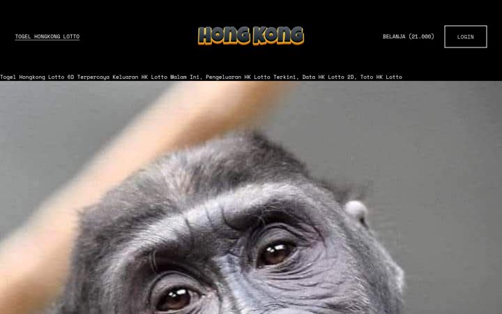 Screenshot stránky wfg2024.com