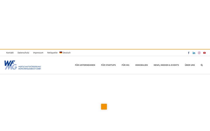 Captura de pantalla de wfmg.de