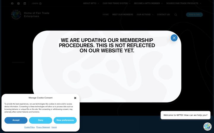 Screenshot of wfto.com