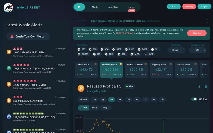 Skjermbilde av whale-alert.io
