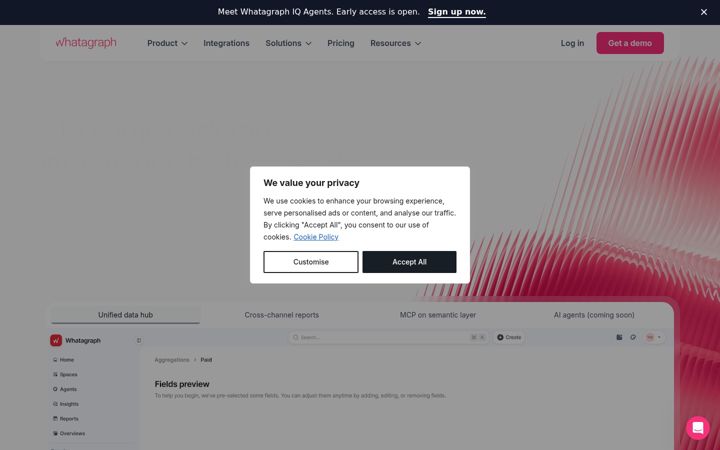 Screenshot of whatagraph.com