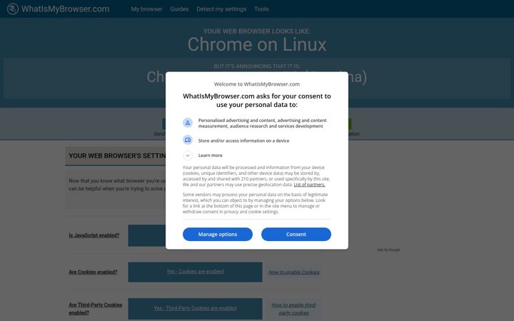 Skjermbilde av whatismybrowser.com