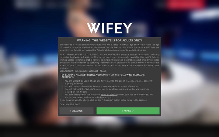 Snimka zaslona za wifey.com