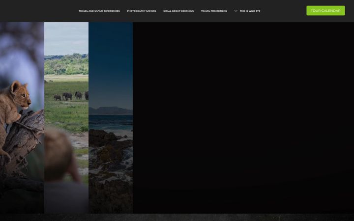 wild-eye.com
