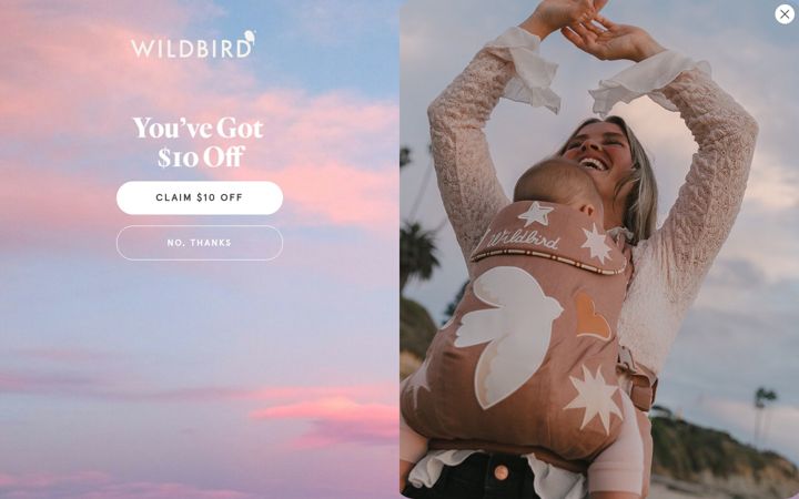 Screenshot of wildbird.co