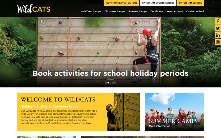 Screenshot of wildcatscamp.co.uk