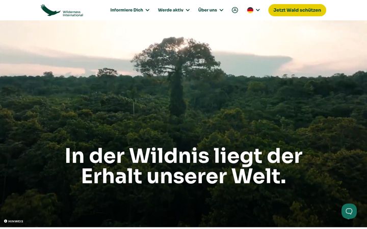 Screenshot of wilderness-international.org