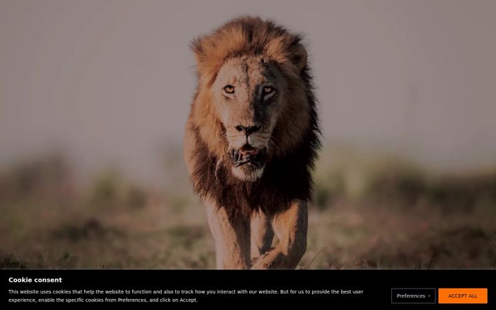 Screenshot of wildernessdestinations.com