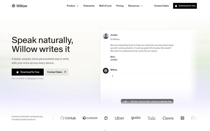 Screenshot of willowvoice.com