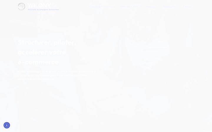 Screenshot of wilony.com