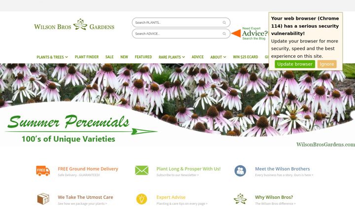 Screenshot of wilsonbrosgardens.com