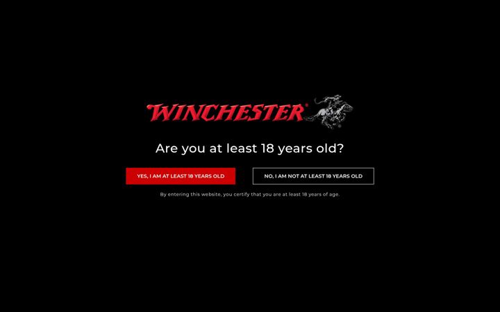 Screenshot of winchester.com