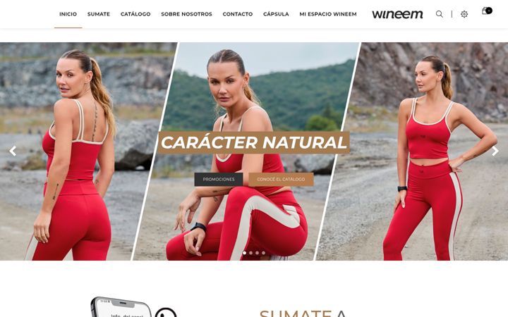 Screenshot of wineem.com.ar