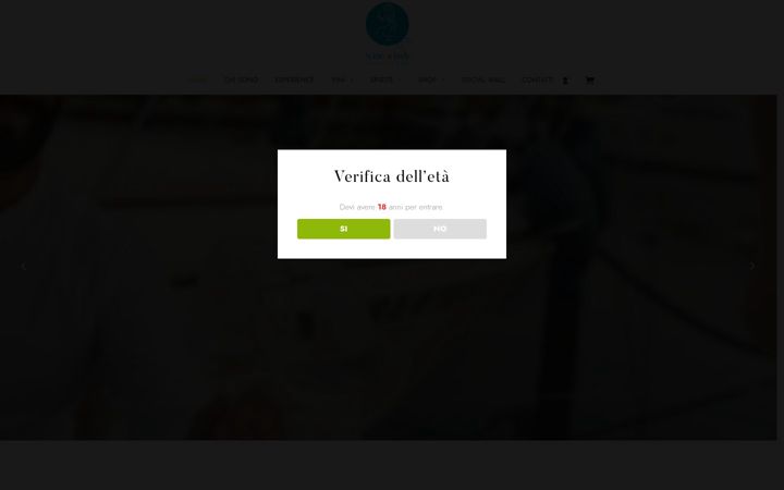 Kuvakaappaus sivustosta winelady.it