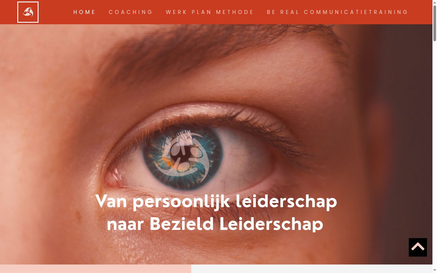 Sutikimo reklamjuostės, rodytos prieš bet kokią sąveiką, ekrano kopija