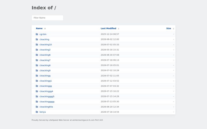 Screenshot of winterresmigacor.it.com