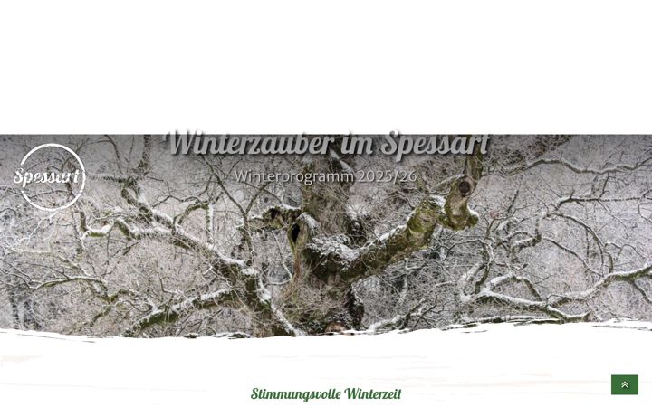 winterzauber-im-spessart.de