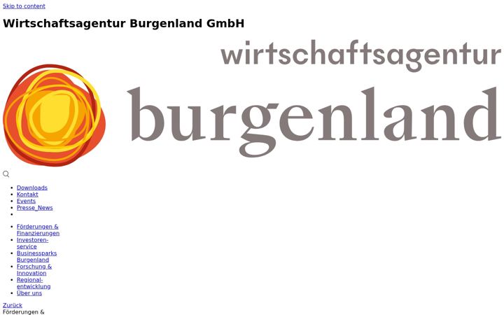 Screenshot of wirtschaftsagentur-burgenland.at