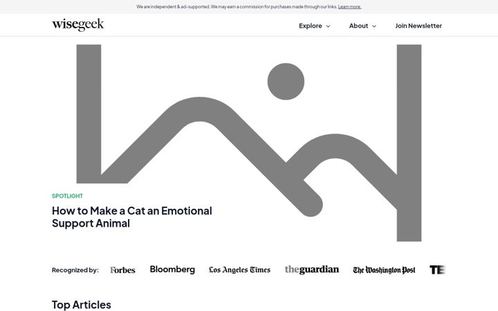 Screenshot of wise-geek.com