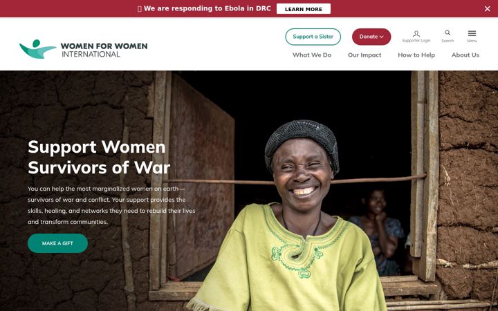 Screenshot of womenforwomen.org