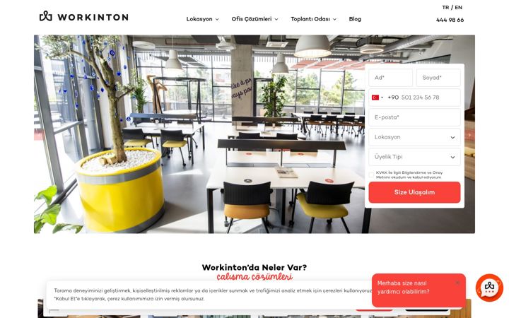 Zrzut ekranu workinton.com