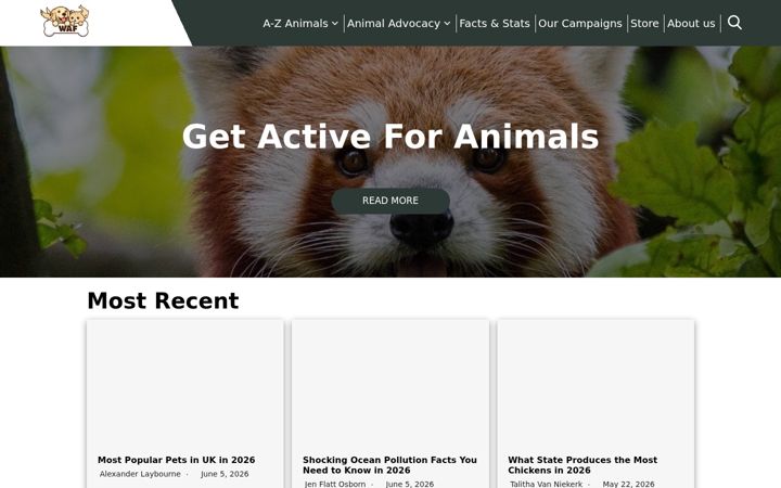worldanimalfoundation.org